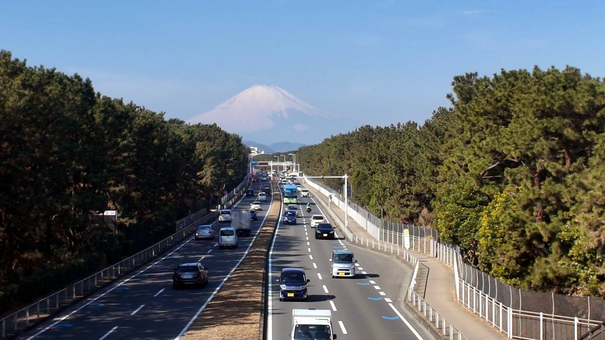 週末ウォーキング tweet media