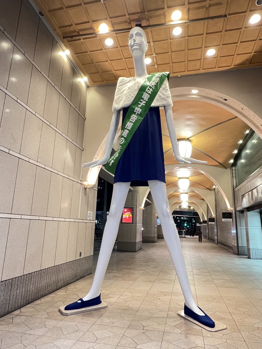 超久しぶりのナナちゃん