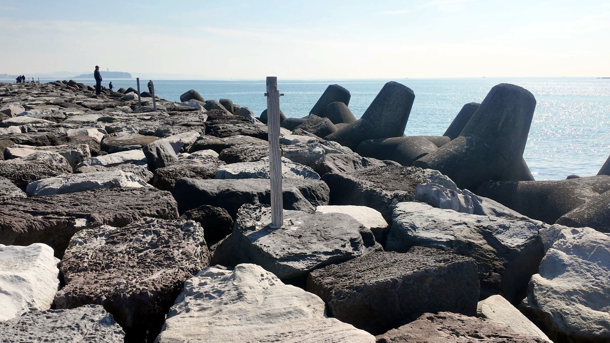 週末ウォーキング tweet media