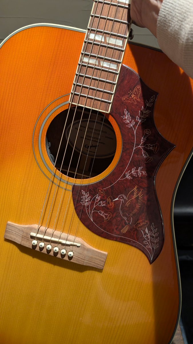 Post by 木公 on X: ハミングバード