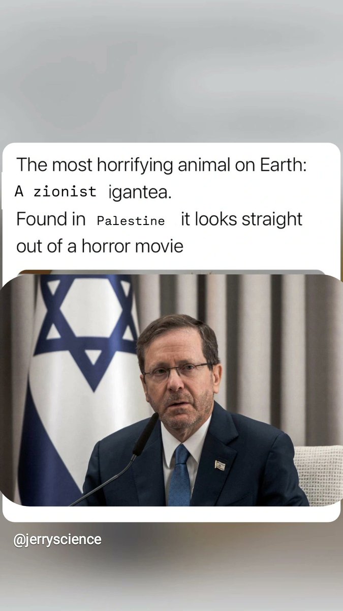 Rohan Irvine tweet media