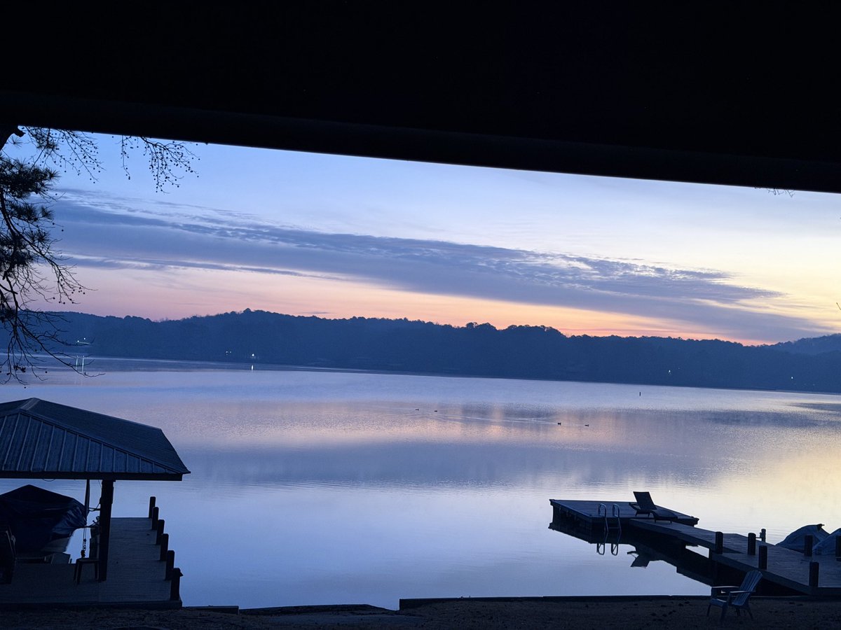 Barbara Corey tweet media