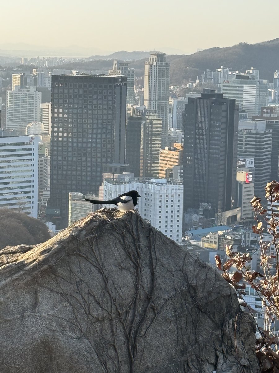 FANTASY BOYS_Member tweet media