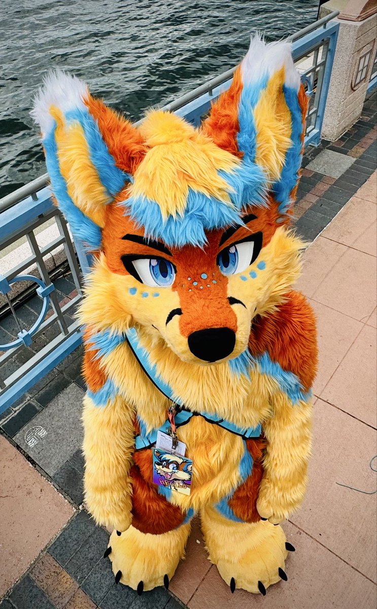 ApolloFolfsky🔜FWA tweet media