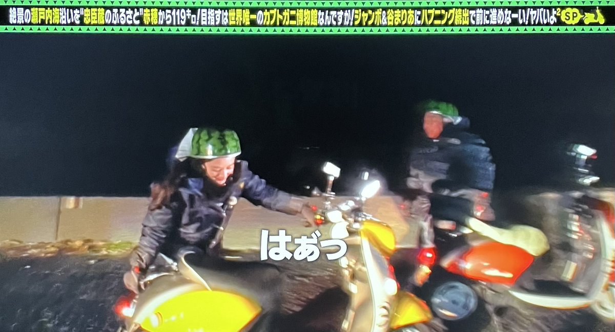 出川哲朗の充電させてもらえませんか 岡山県笠岡市 カブトガニ博物館