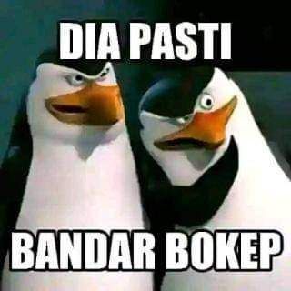 dizaabull16's tweet photo. @jkx7784 soalnya warga lokal lu sebagian otaknya bokep mulu, makanya lu ga berani posting wajah asli😂 https://t.co/CnEydqk1Kk