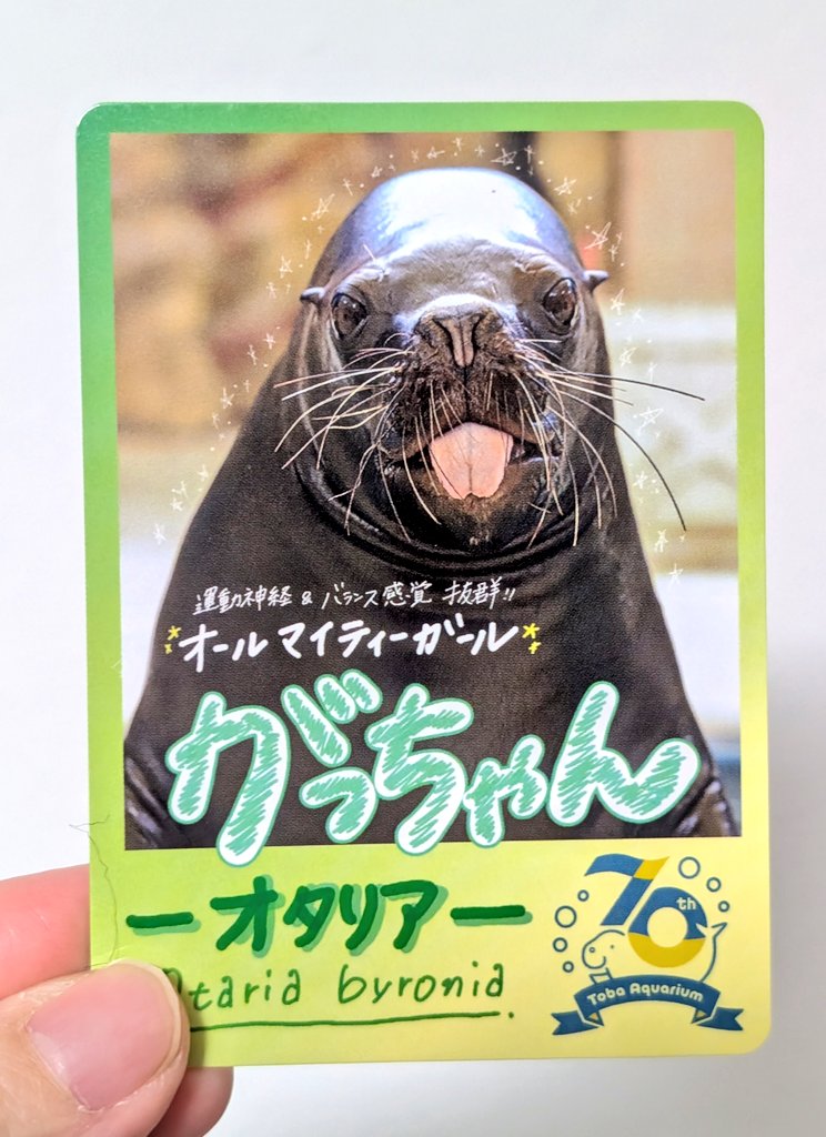 tan_sui_kabutz 鳥羽水族館の創立70周年記念トレカ✨️ いろんな子を