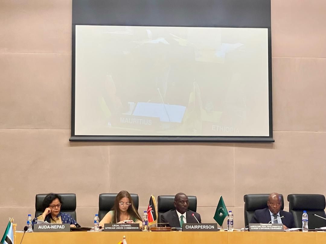 MFAEthiopia's tweet photo. The Committee of African Heads of State and Government on Climate Change (#CAHOSCC) convened a High-Level Meeting at the @_AfricanUnion Headquarters in Addis Ababa, #Ethiopia. Click on the link below for more: https://t.co/x1wfMkUbvW https://t.co/vsaxlpN53w