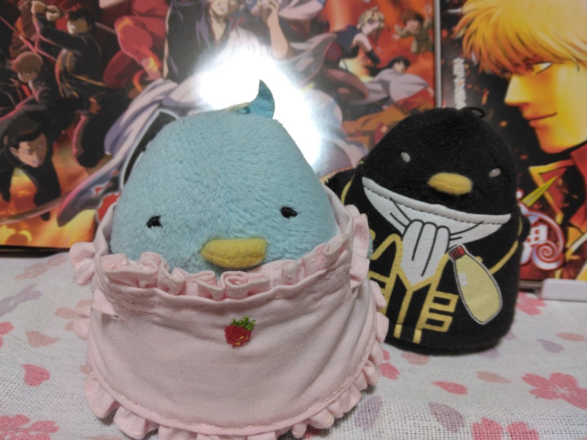 pumpking0425's tweet photo. 銀ちゅん｢ところで飼い主さんよぉ、今日はな～んの日だ？♪｣
土ちゅん｢(はわっ💦)｣

分かってるって～チョコだろぉ～～😁
銀ちゅん｢そうそう！これだよ♪これー🎶｣
土ちゅん｢猫ちゃんだ｣ https://t.co/J5uzGb84we