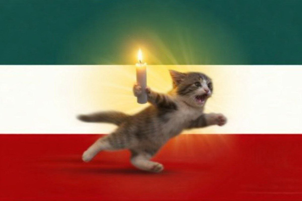 YsnaPrf07's tweet photo. گربه شمع دزد: پرچم رسمی ایالت خراسان در فردای آزادی https://t.co/DlRQqKxfrJ