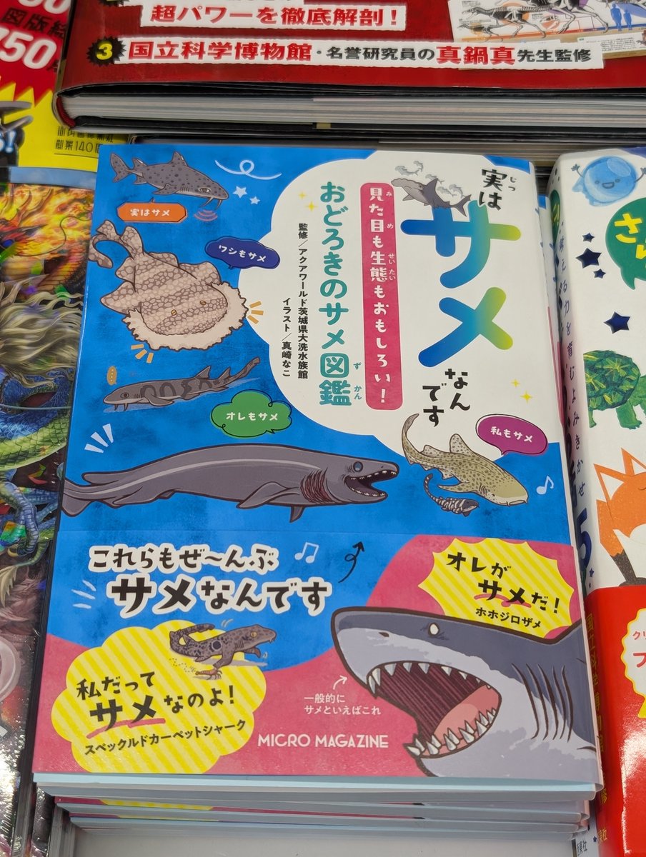 📢 ＃中里店 よりおすすめ児童書❢ 【実はサメなんです 見た目も生態も