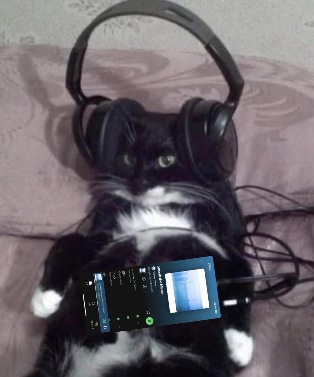 Zhao-Hui Weng (オン) tweet media