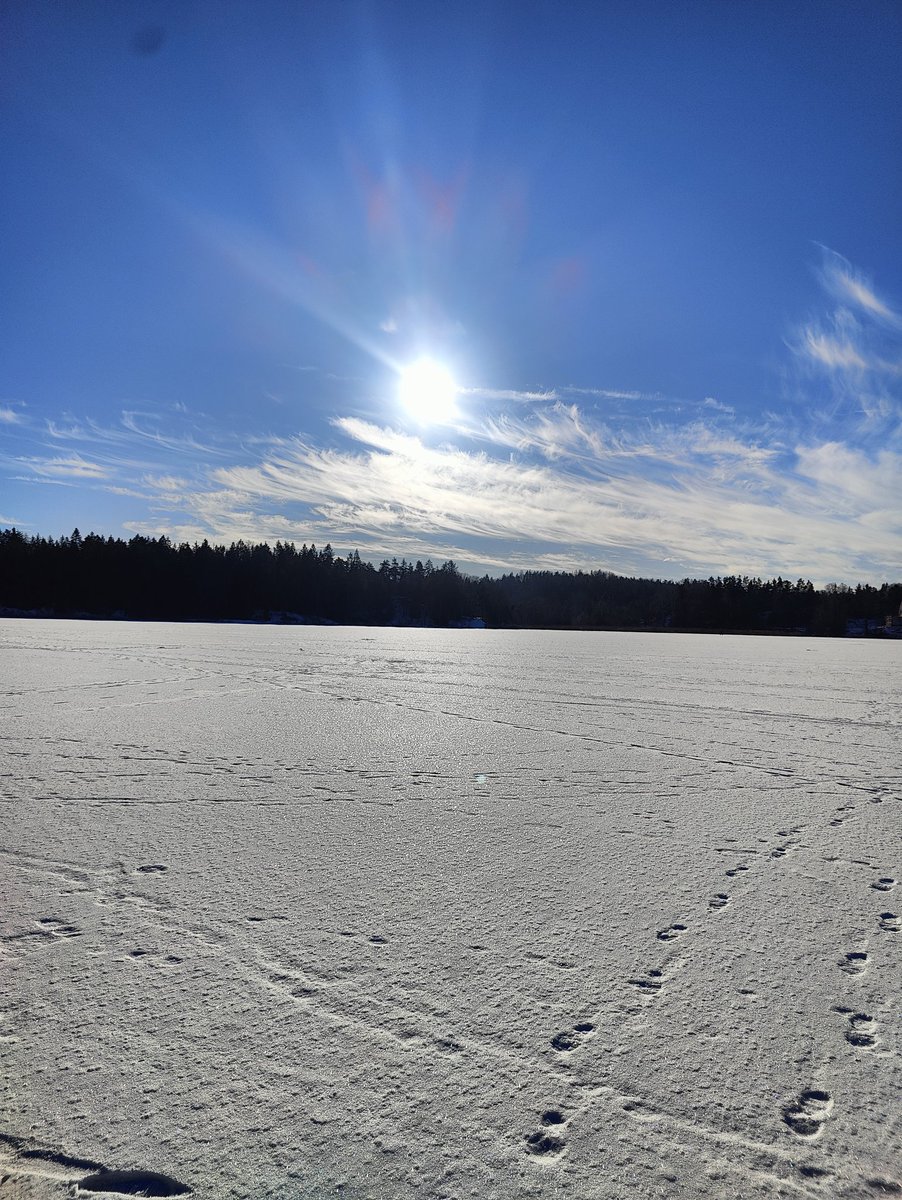 Oscar Norlander tweet media