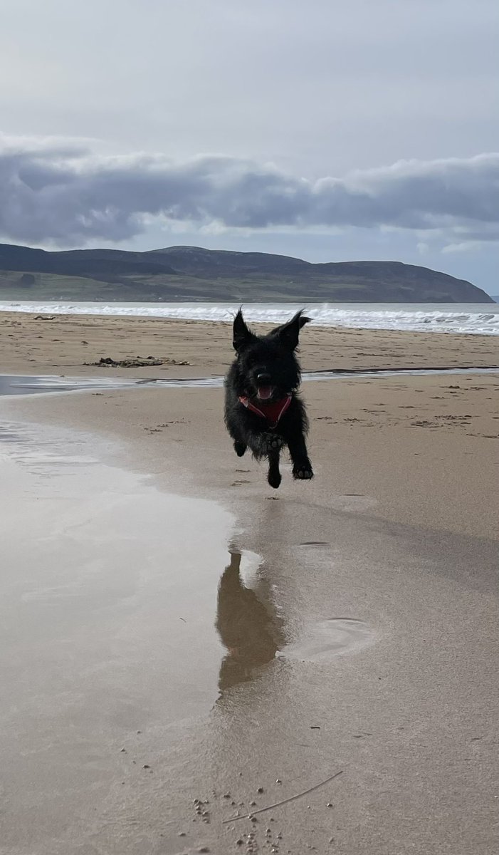 Adele and Rex (former staff to Monty🌈& Jilly🌈) tweet media