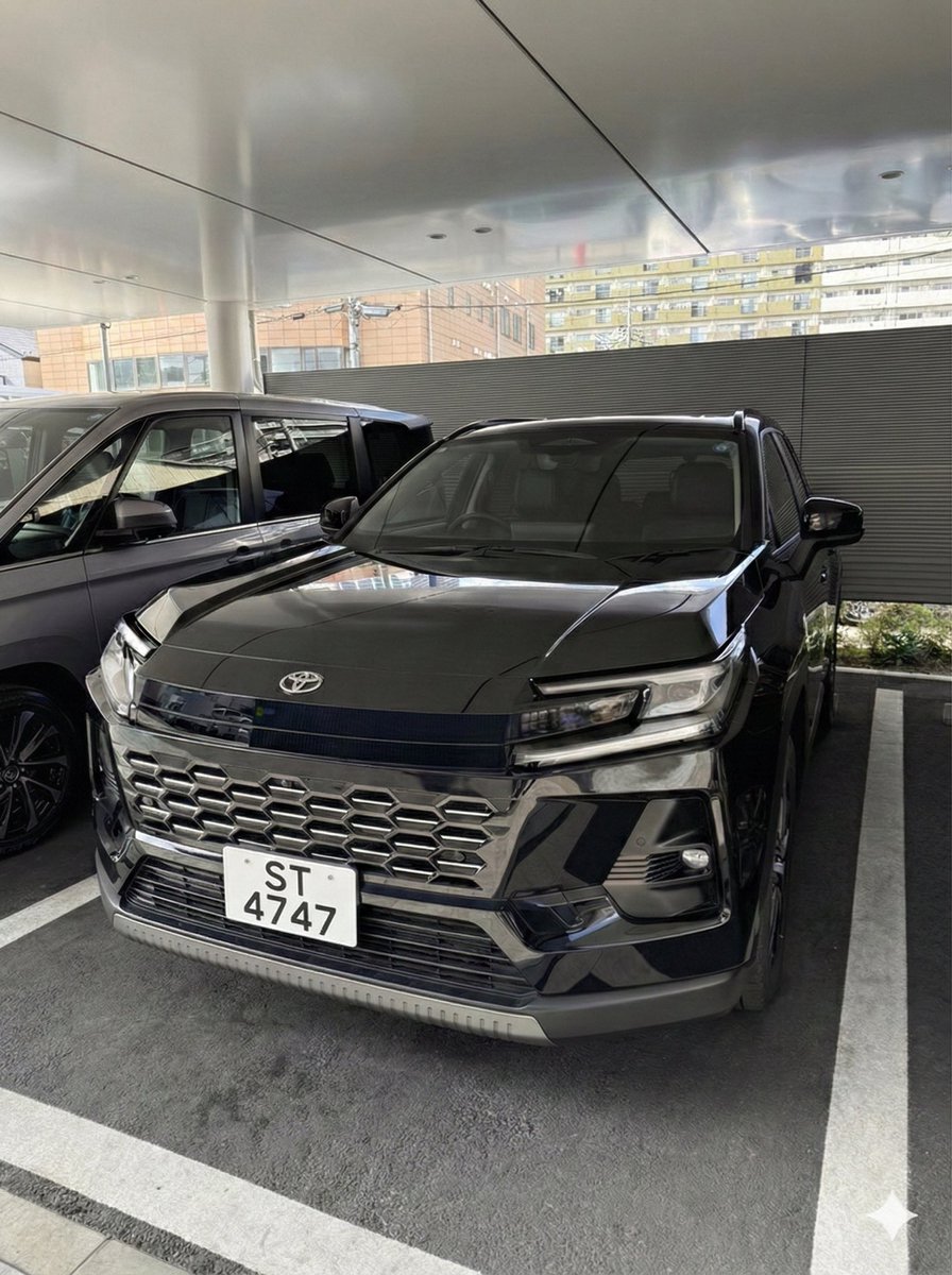 おかぴ (@okapi_poke) / Posts / X