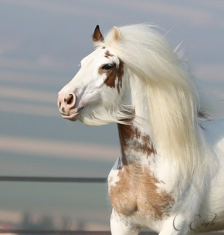 Earth Pictures 🌎🌎🌎 (@__earthpicture) on Twitter photo 