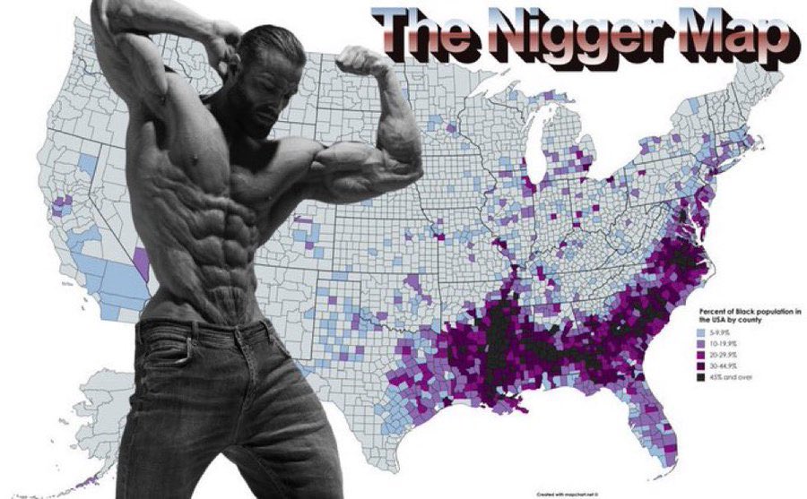 White American tweet media