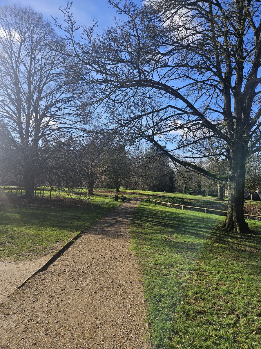 Saturday morning vibes! Parkrun done and lunchtime walk with Serge in the sun!