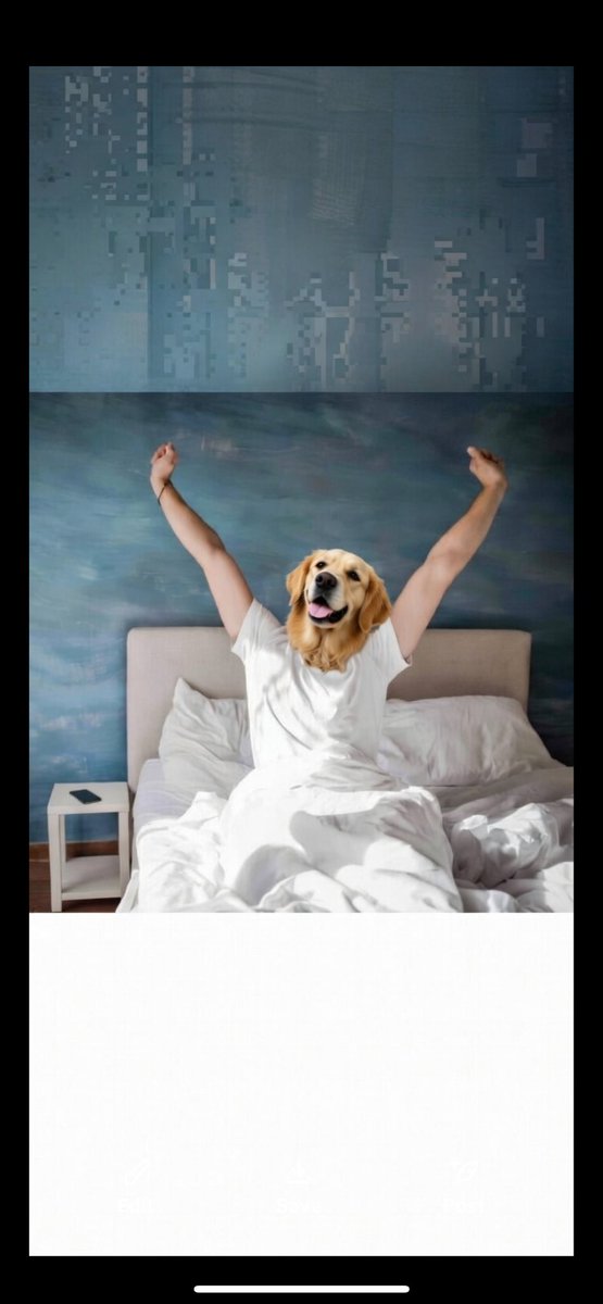 tstollyy's tweet photo. Bark bark https://t.co/40VWqzoNwC