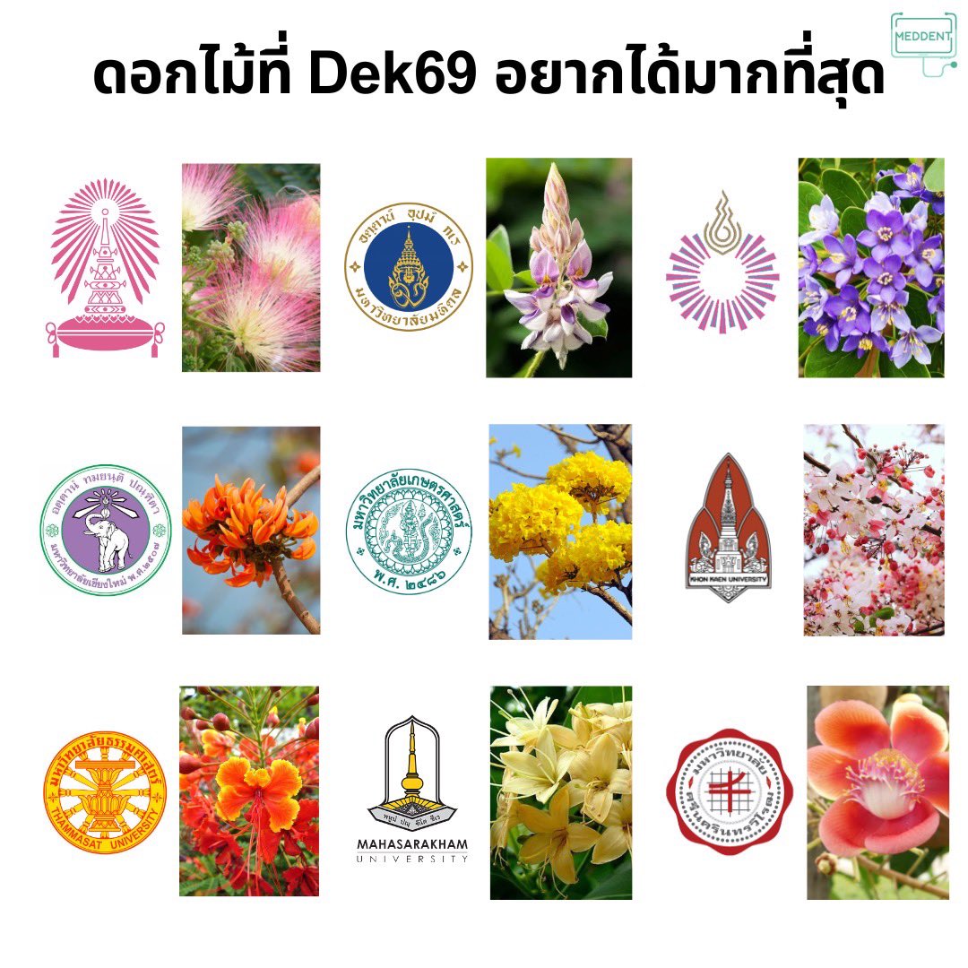 ดอกเดียวที่ #DEK69 อยากได้!! 🙏💙
.
#TGAT #เด็กซิ่ว #TCAS69 #tcas69 #คณิต