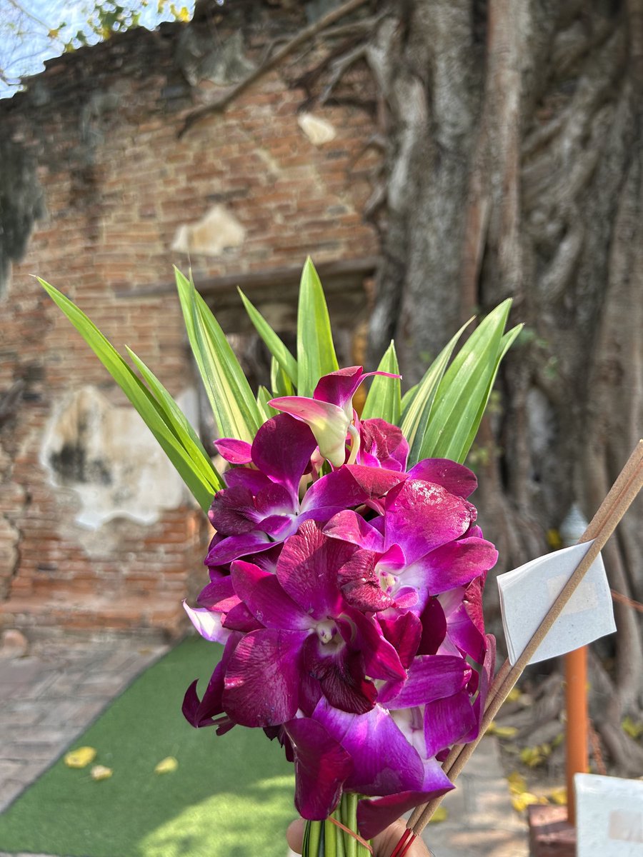 SecretBoyzz tweet media