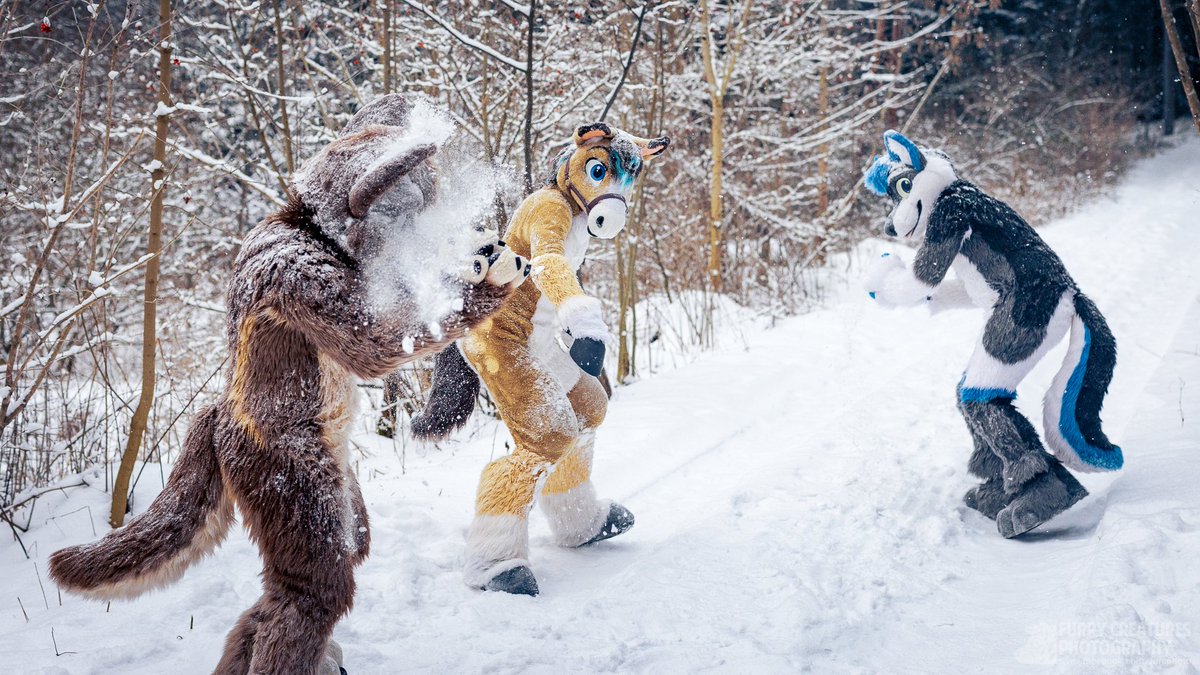 Johnny Colt tweet media