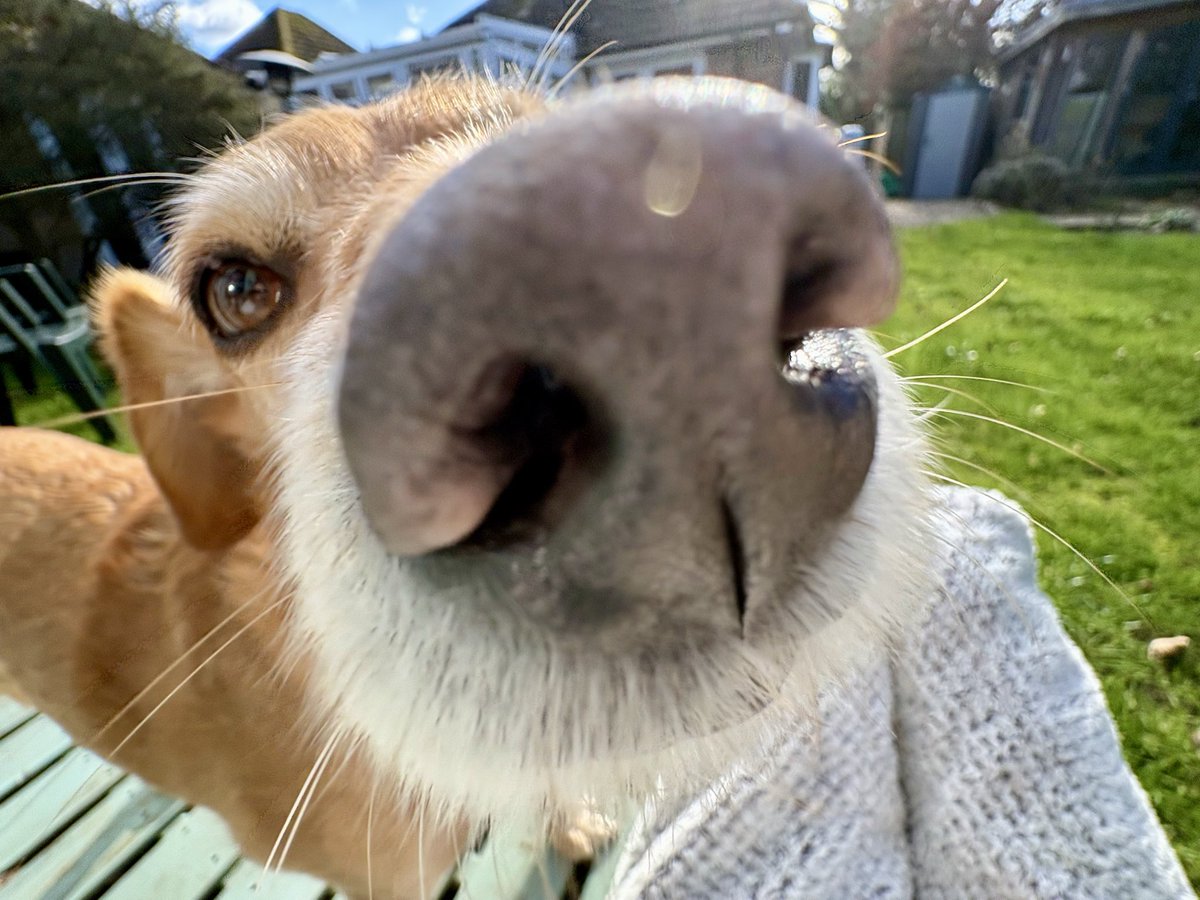 Sally Doherty writes 👩💻 tweet media