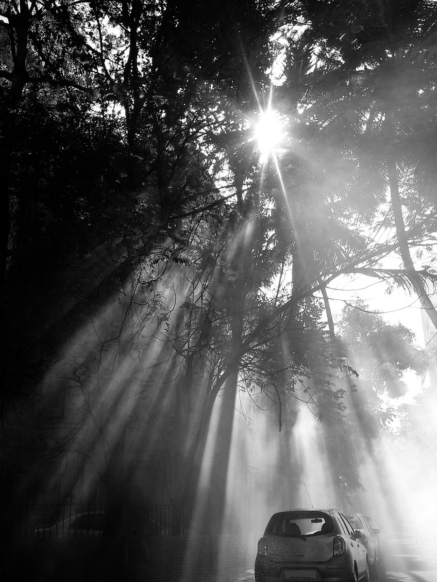 rapteeth tweet media