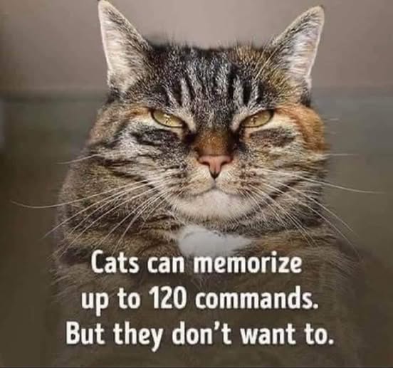 GM 🥰
Have a Great Weekend💫