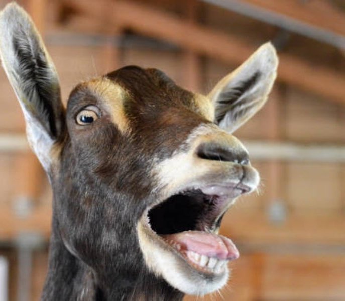 ®Birdman🐦 (@mrmoney115) on Twitter photo 