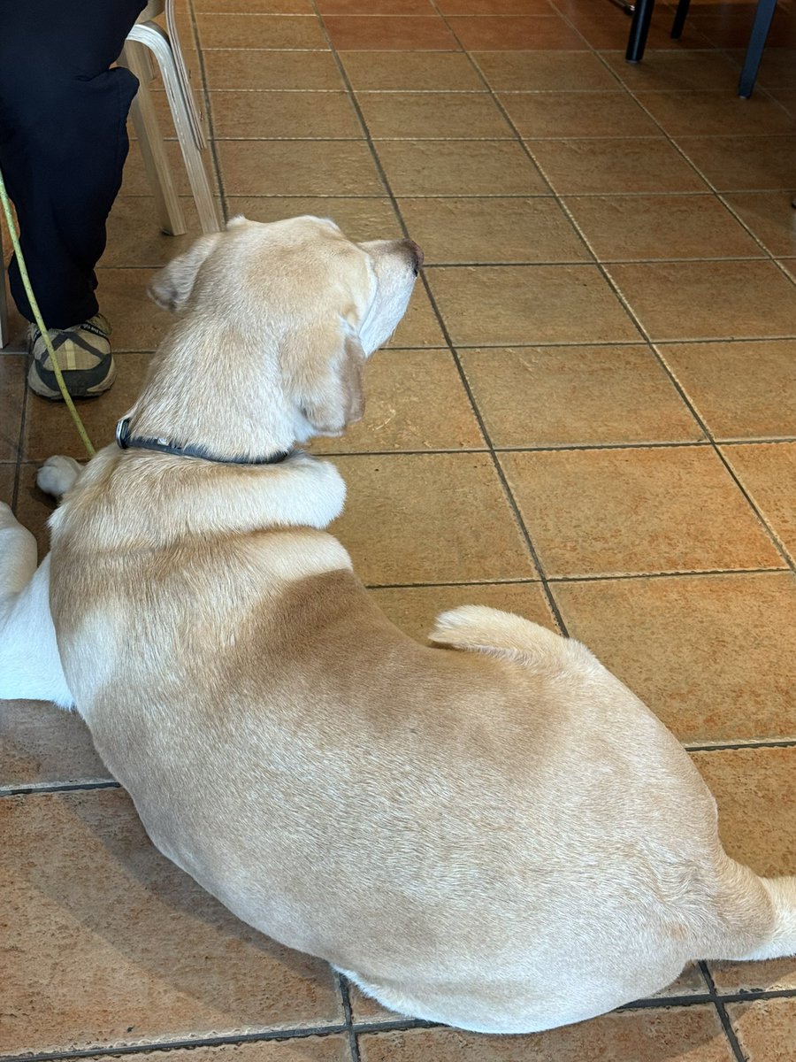 앙증 (@ang_jeung) on Twitter photo 