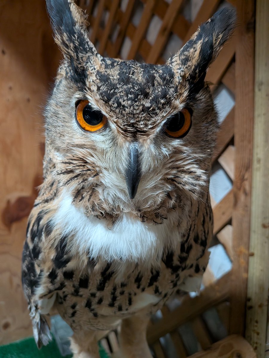 ただいま〜。ご飯持ってくるから、もう少し待っててね