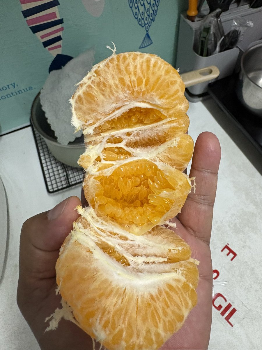 ส้มสาวฝาง