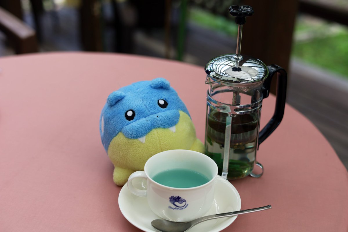 タマザラシとおさんぽ🍧 tweet media