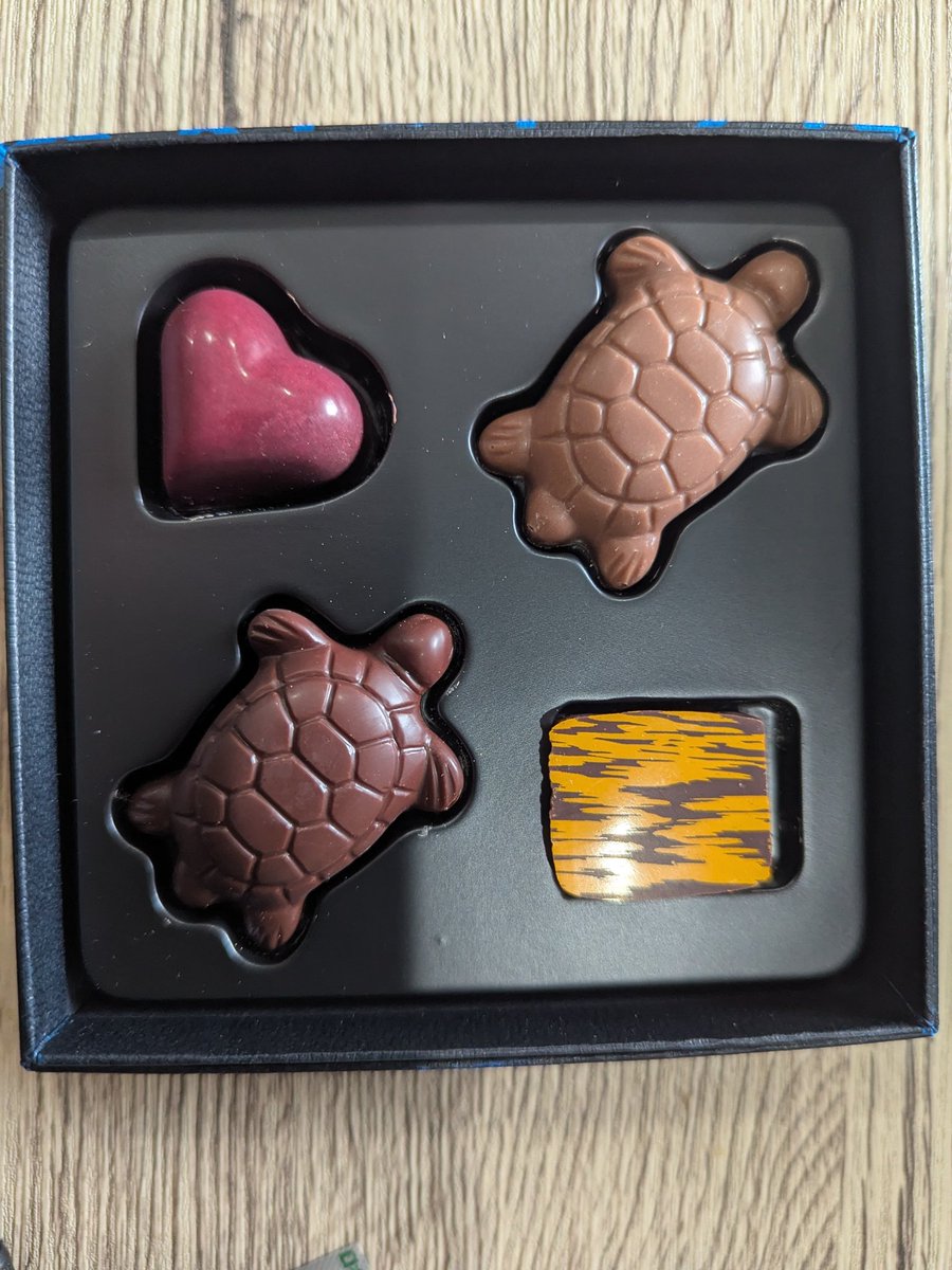 亀チョコ🐢

#海亀 #うみがめ #チョコ