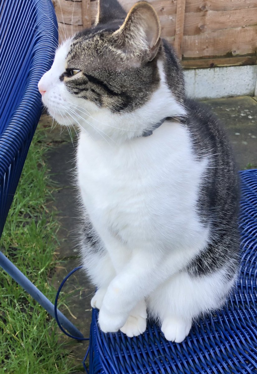 “Don’t want a Valentine, just a free Palestine.”