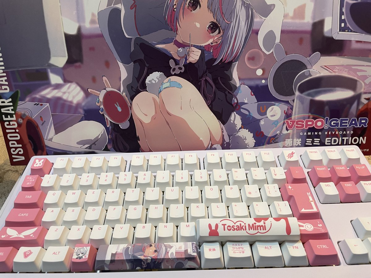 onfire3_'s tweet photo. デスク染まってきた🐰🐰 https://t.co/UNqSJEIkZa
