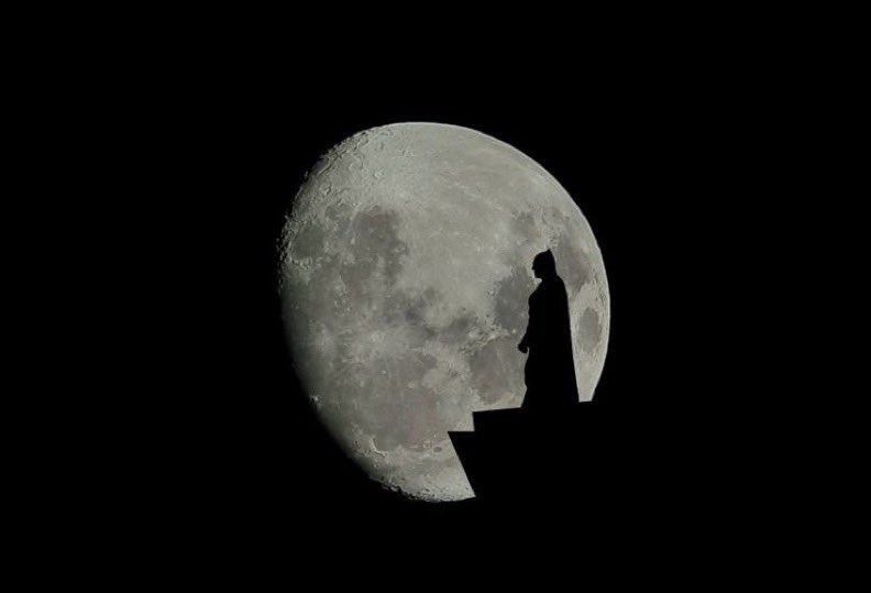 Felsefe Parrhesia tweet media