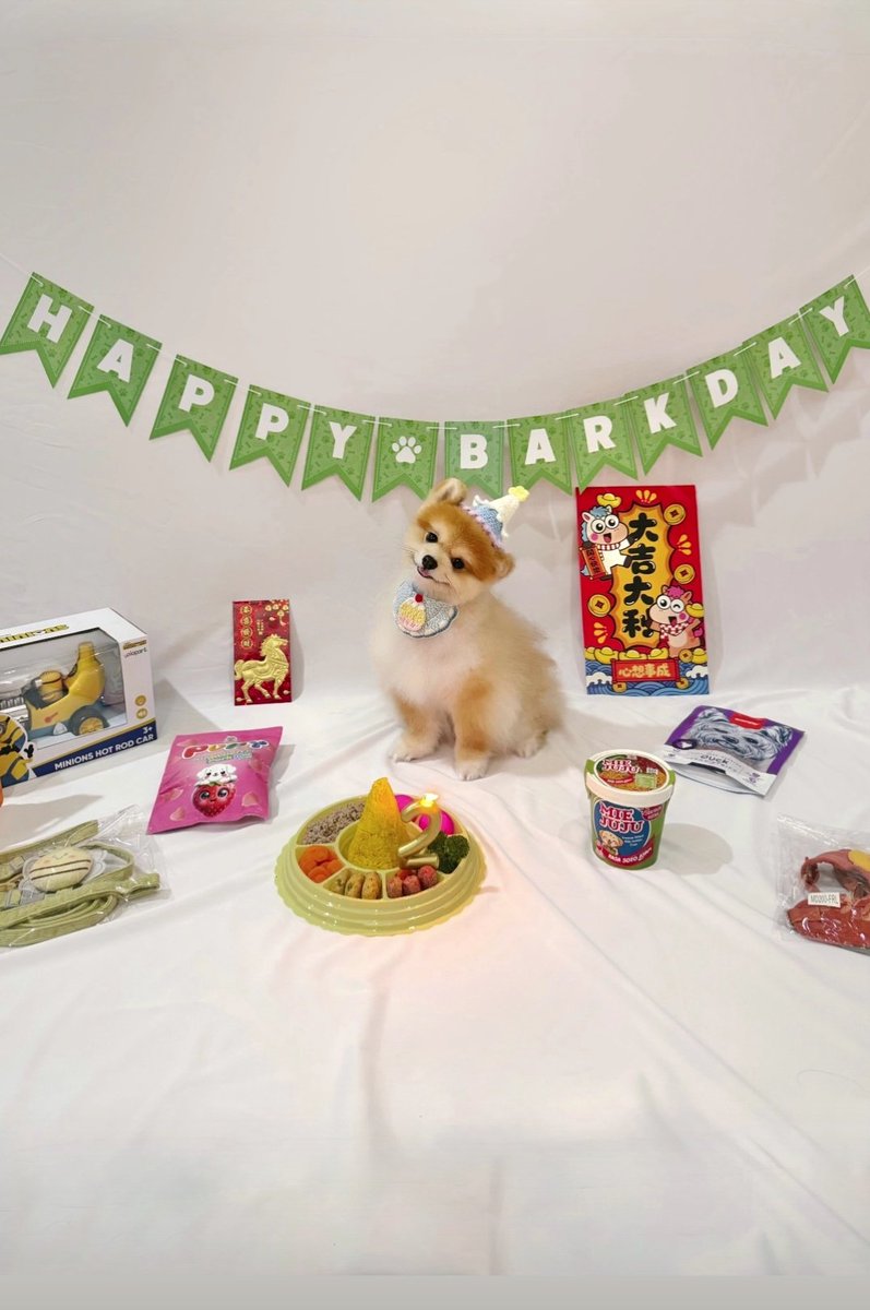 Putting all my precious things from my love to Iofi, Monster Hunter and ...  into 1 frame. Also today is my family pet called Enzo who celebrate his 2nd birthday on this valentine day. #KKClubNews