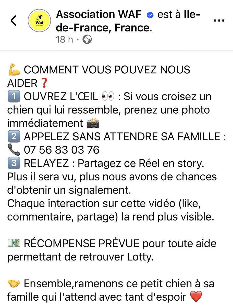 collectif_bois tweet picture