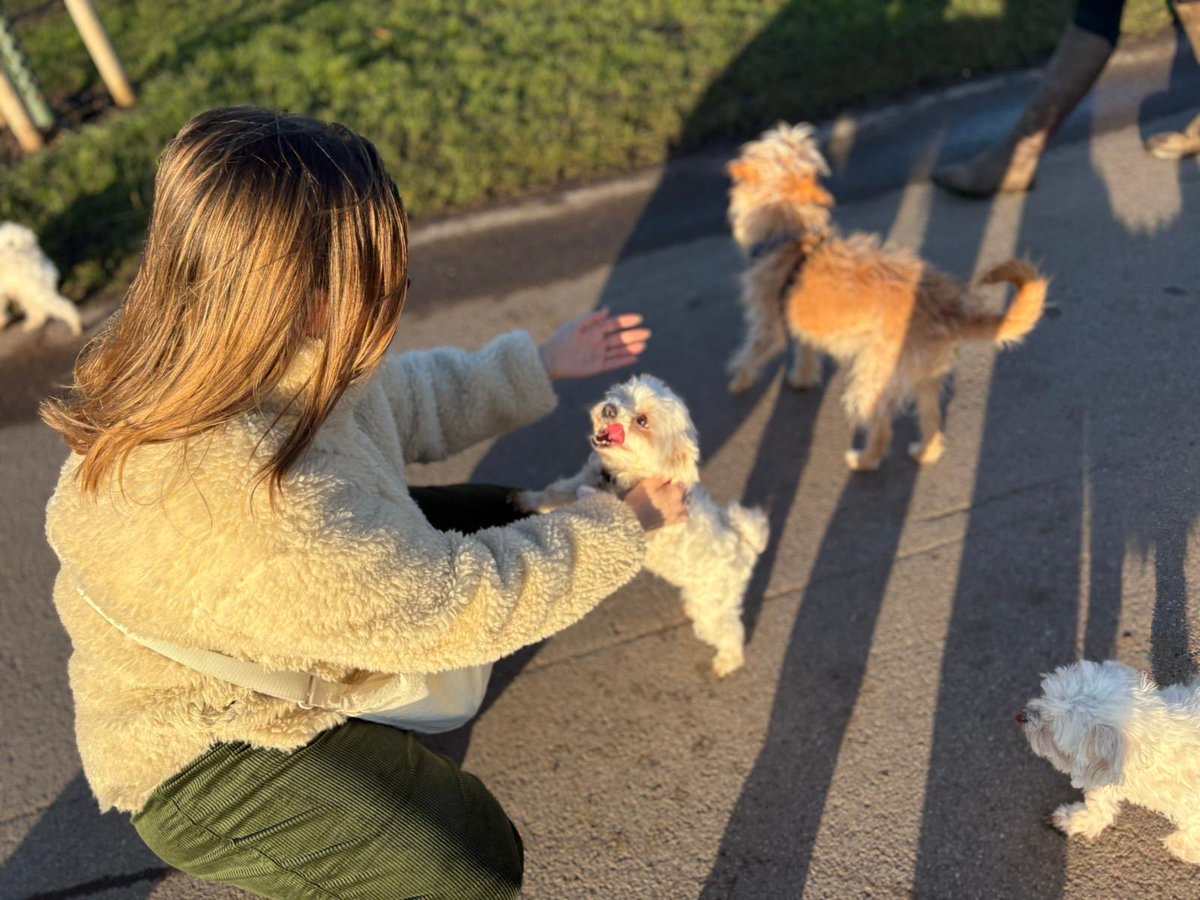 Shay Berg tweet media