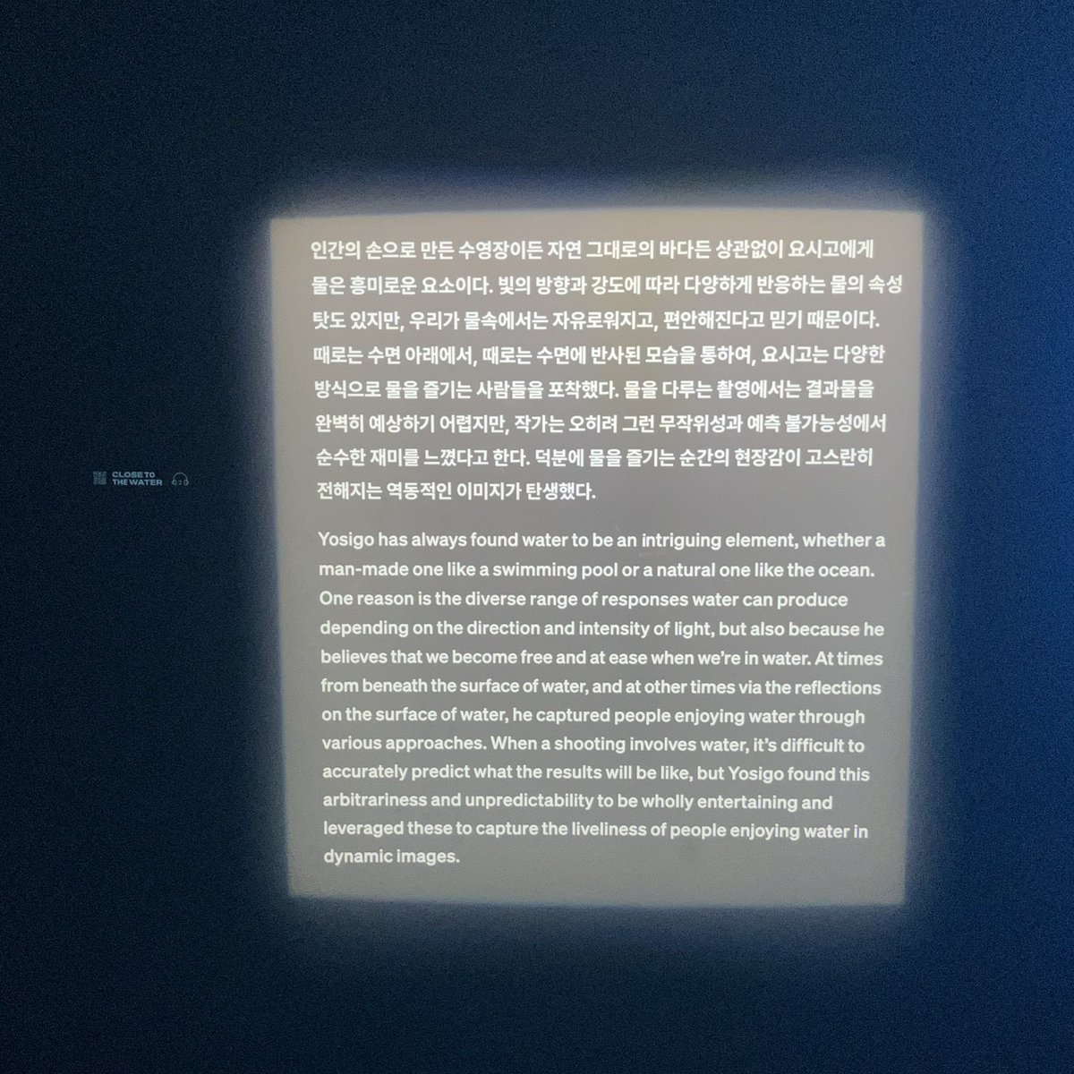 도이 tweet media