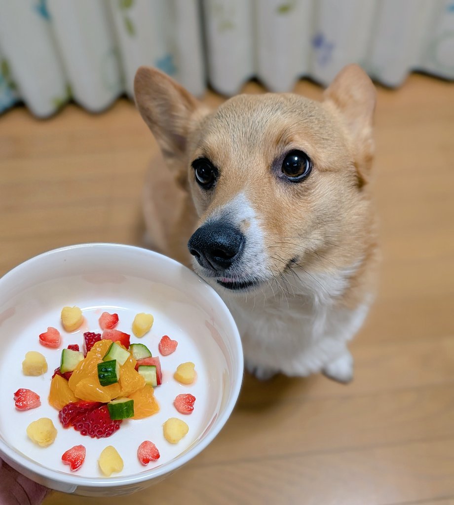 #ValentinesDay #HappyValentinesDay2026