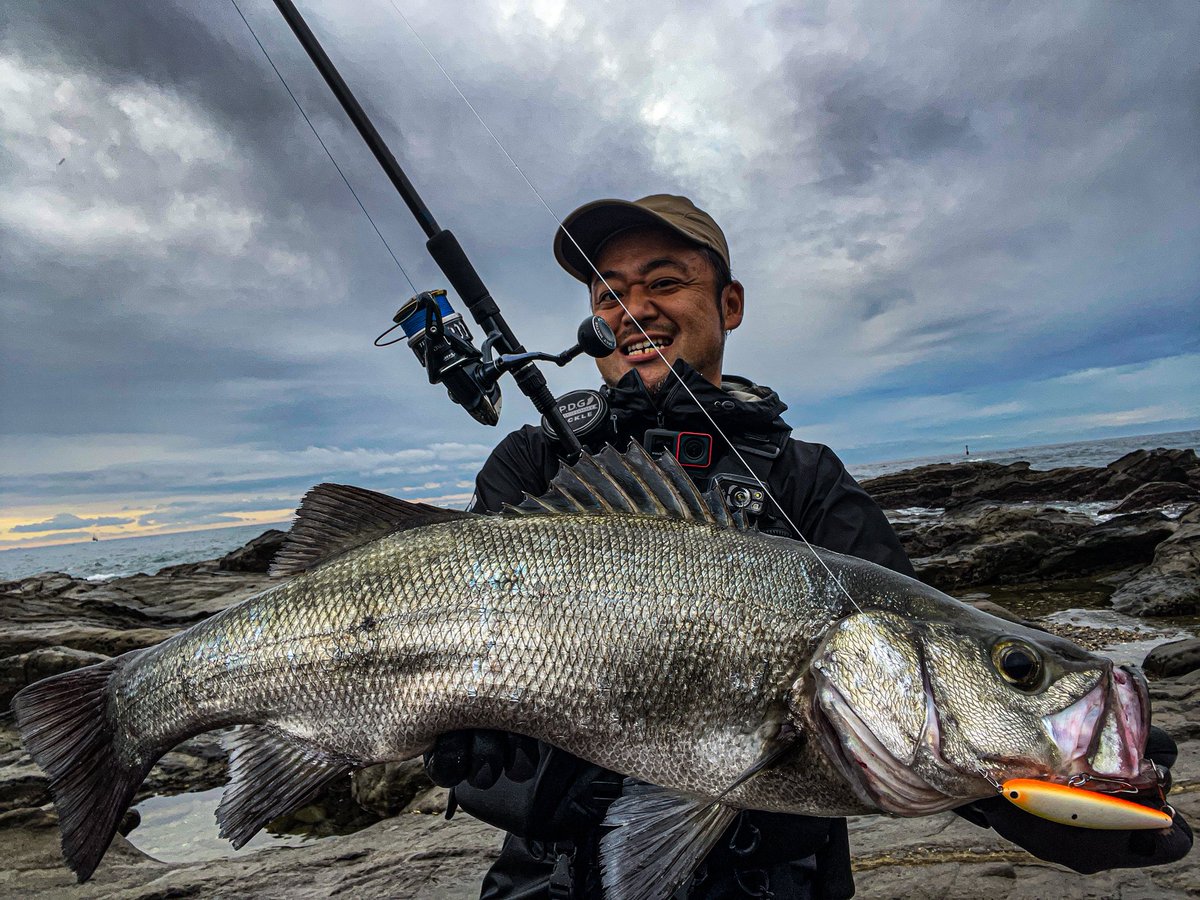 korosuke(成相 修) tweet media