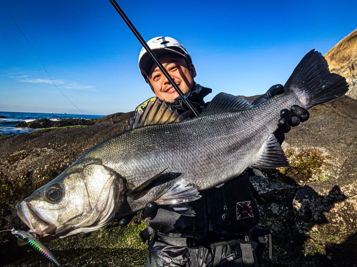 korosuke(成相 修) tweet media