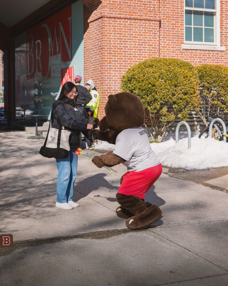 Brown Athletics tweet media