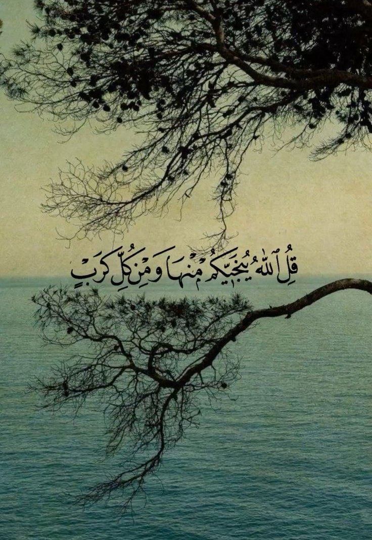 قُلِ اللَّهُ يُنَجِّيكُم مِّنْهَا وَمِن كُلِّ كَربٍ💛..