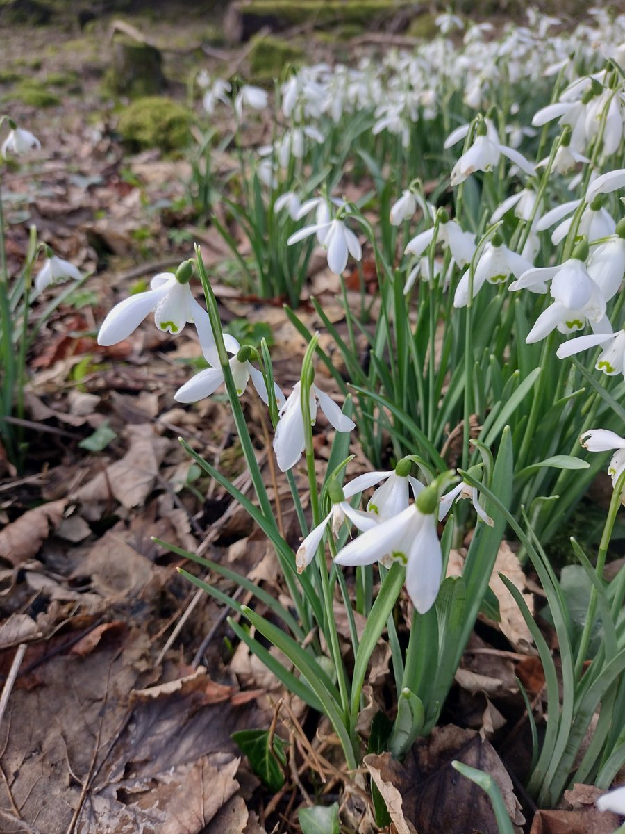 Solas Ireland Walks & Hikes tweet media