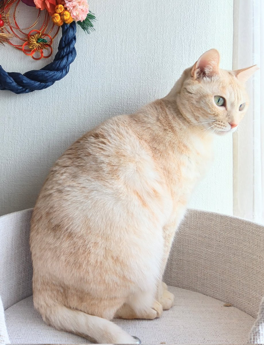 tetsuji_uemura tetsu rokuさん、 今年最初の部活だにゃ