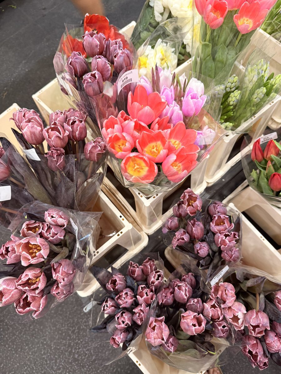 Professor₿ 🟧 tweet media